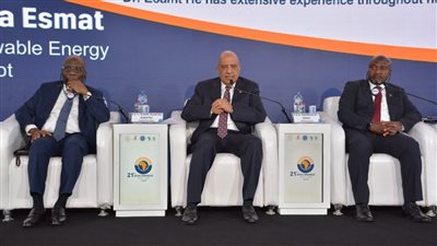 وزير الكهرباء: نعمل على تحقيق انتقال طاقة مستدام وعادل عالميا واتخاذ قرارات داعمة في مسار تنفيذ أجندتنا الإفريقية 2063 