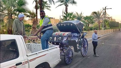 ضبط عربات حنطور مخالفة واستمرار حملات النظافة والتجميل بالأقصر