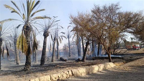 حريق مزرعة في الوادي