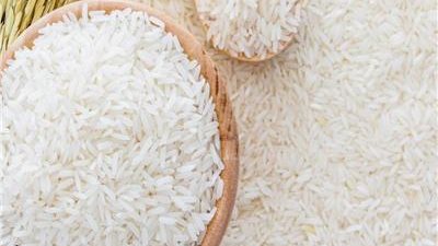 التموين: تعديل عرض شركة تسويق الأرز ومدّ فترة عملها حتى عام 2051