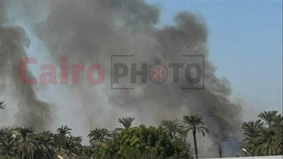 نشب في أشجار نخيل.. السيطرة على حريق محدود بمحيط معبد موت بالكرنك