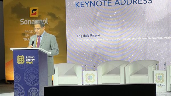 جانب من مشاركة مصر