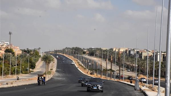 محور جمال عبد الناصر