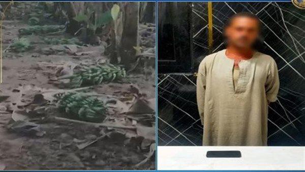 المتهم - جانب من