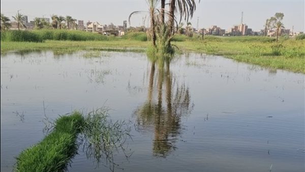 زيادة منسوب النيل