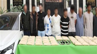 أحدهما عنده القلب.. دفاع متهمين في قضية سارة خليفة: مرضهما يعوق اشتراكهما بتجارة المخدرات