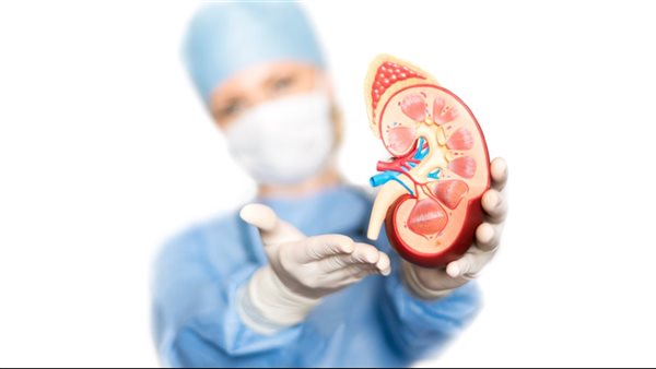 صحة الكلى ـ تعبيرية