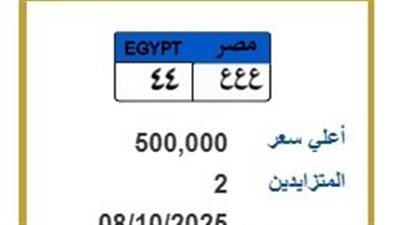 ع ع ع 44.. لوحة مرور مميزة بسعر يصل إلى 500 ألف جنيه 