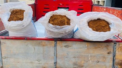 تموين الفيوم: ضبط نصف طن بن مغشوش بمواد مجهولة المصدر.. و54 مخالفة تموينية متنوعة بدائرة المحافظة