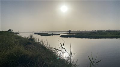 غرق صغير في ترعة الصفصاف بأرمنت في الأقصر