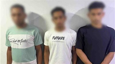 إحالة المتهمين بتسميم كلب السفيرة إيمان محرم بأكتوبر إلى المحاكمة