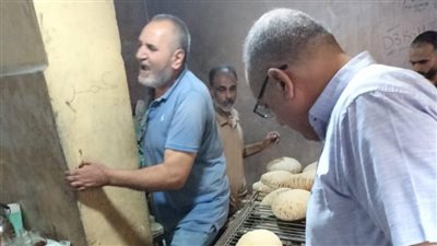 حملات تموينية بالدقهلية تضبط لحومًا فاسدة ومخالفات بمخابز ومطاحن.. وإحالة المتورطين للتحقيق