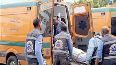 مصرع أم وإصابة ابنها في حادث مروع بطريق دير الشايب بالأقصر