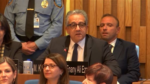 خالد العناني 