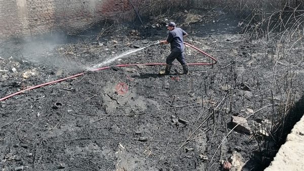 Sorry! Image not available at this time