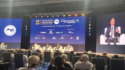 أحمد عز يدعو لتبني سياسة عربية موحدة لحماية الصناعة والاعتماد على الأسواق المحلية