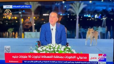 لقطة عفوية لكلاب بمؤتمر مشروع تل الفسطاط تشعل مواقع التواصل بالإعجاب