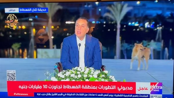 مؤتمر صحفي - تل الفسطاط