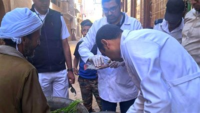 ضبط 200 كيلو أسماك فاسدة في حملة على أسواق سوهاج 