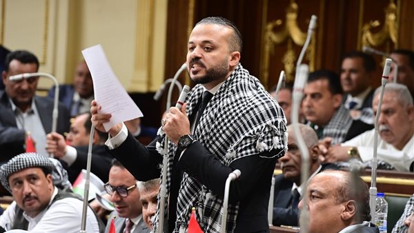 النائب محمد الجارحي