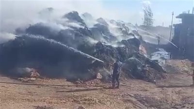 حريق شونة لتجميع قش الأرز في كفر الشيخ.. والحماية المدنية تسيطر عليه