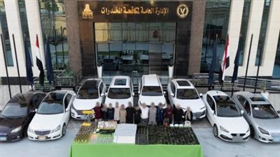 على غرار عصابة سارة خليفة.. سقوط تشكيل عصابي حاول تهريب مخدرات بـ127 مليون جنيه
