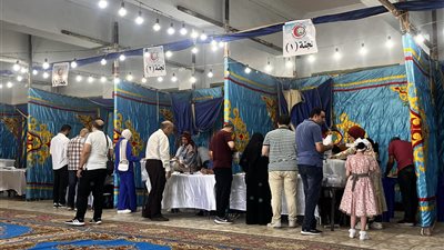 وسط إقبال ملحوظ.. استمرار التصويت في انتخابات التجديد النصفي لنقابة الأطباء بالدقهلية