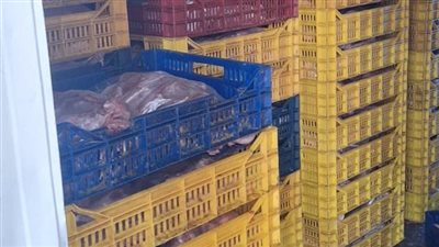 ضبط 5 أطنان دواجن فاسدة قبل استخدامها في تصنيع اللانشون واللحوم بالمحلة