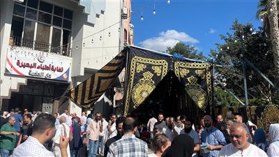 10 مرشحين يتنافسون على 4 مقاعد.. إقبال متوسط على انتخابات نقابة الأطباء بالبحيرة| صور