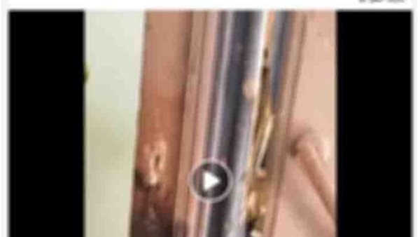 جانب من الواقعة 