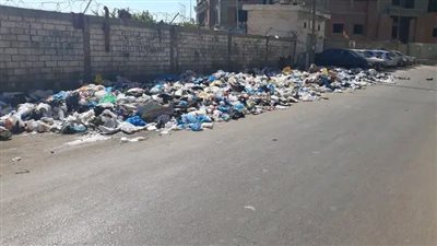 استجابة لشكاوى المواطنين.. حي وسط بالإسكندرية يرفع كميات كبيرة من المخلفات خلف كلية الهندسة