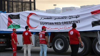 مدد جديد لغزة.. الهلال الأحمر المصري يدفع بـ 9 آلاف طن مساعدات عاجلة إلى القطاع