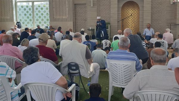 مجالس الإفتاء