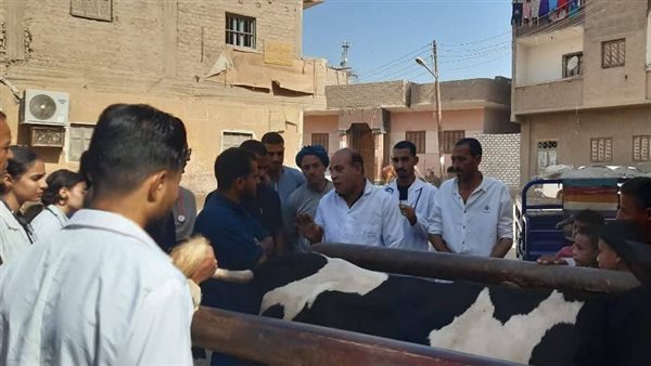 قافلة بيطرية