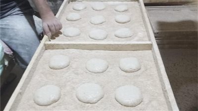 تموين القليوبية: تحرير 35 محضر مخالفة للمخابز البلدية والتأكيد على الالتزام بالمواصفات