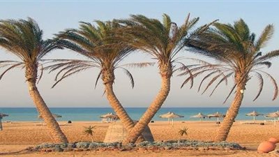 أجمل وديان جنوب سيناء.. وادي غرندل أحد المعالم الجيولوجية والبيئية ومقصد السائحين راغبي التمتع بالحياة الطبيعية