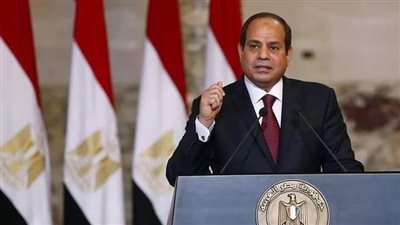 السيسي يدعو لضمان نزاهة انتخابات البرلمان وإلغاء أي مرحلة عند غياب الإرادة الحقيقية للناخبين