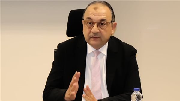 وزير قطاع الأعمال