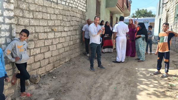 محليات المنوفية 