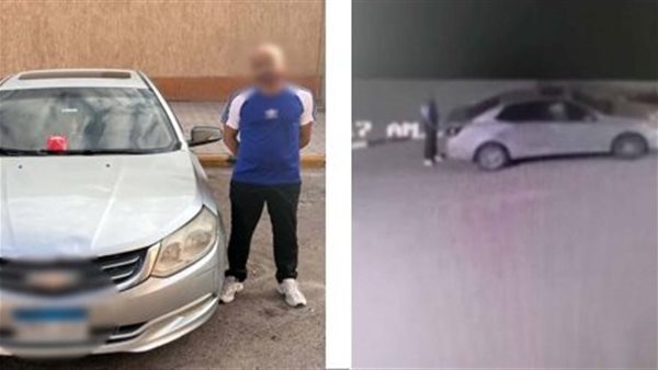 المتهم بتسميم الكلاب