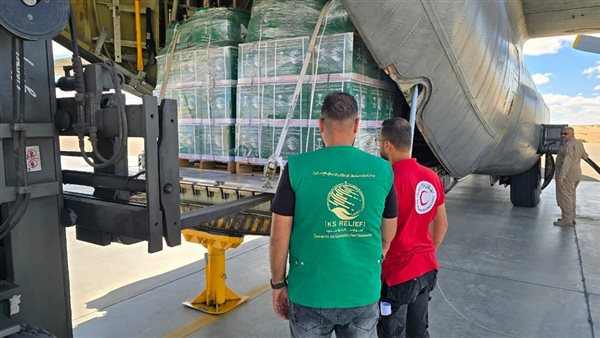 الطائرة السعودية