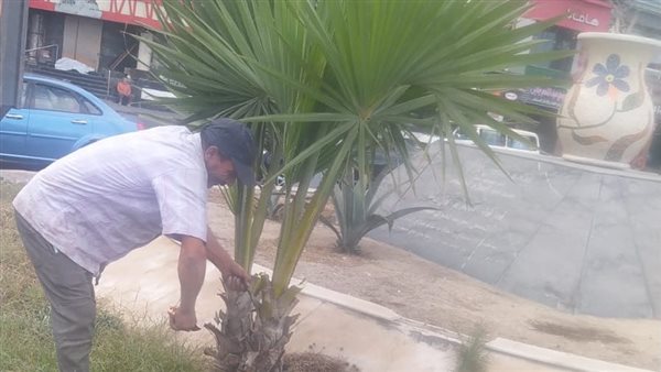 تقليم الحدائق 