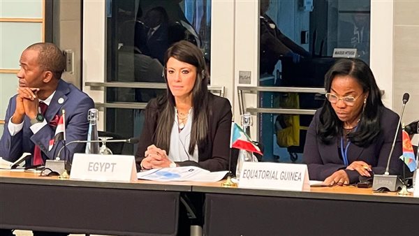 جانب من مشاركة رانيا