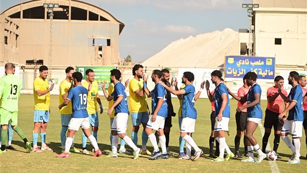 دوري المحترفين
