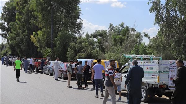 عشرات السيارات تجوب