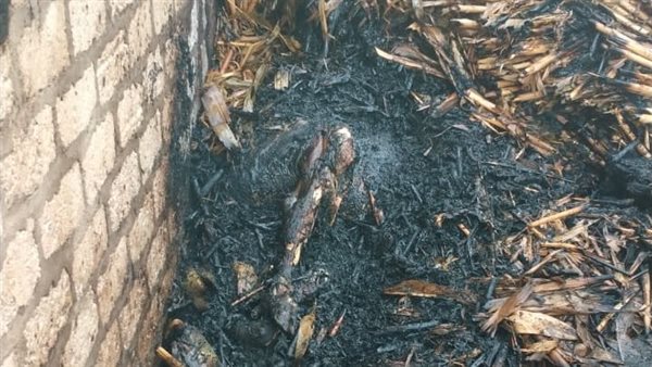 جانب من الحريق