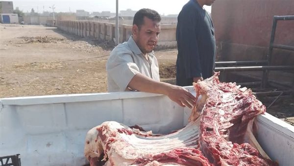 ضبط لحوم غير صالحة