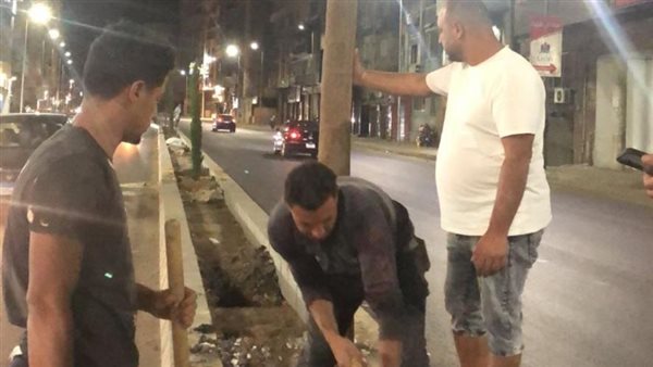 زراعه الأشجار - أرشيفية