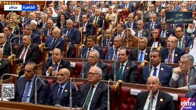 مصادر: مستقبل وطن يدفع بعصام فريد مرشحا لرئاسة الشيوخ