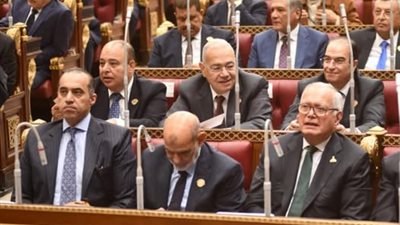 وزير الشؤون النيابية: الحكومة على استعداد للتعاون مع مجلس الشيوخ للتناغم بين مؤسسات الدولة